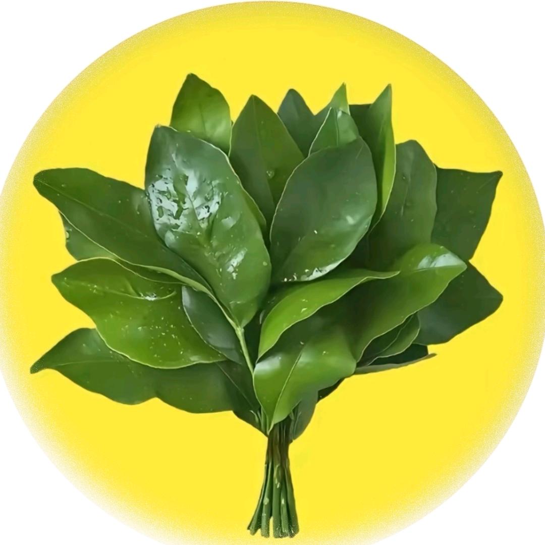 锦上添花☀️（彬彬同学）