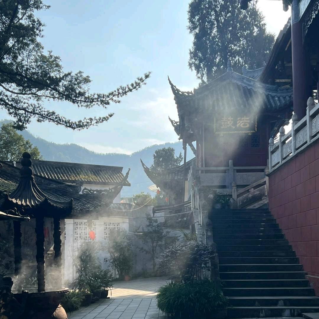 善语智慧