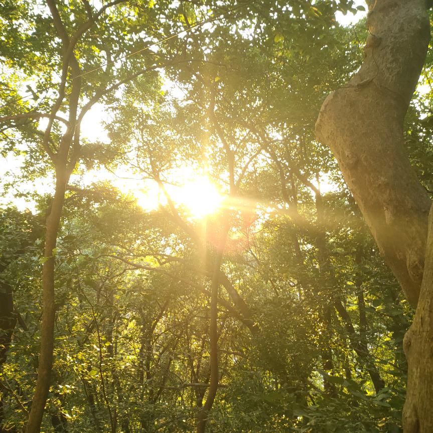 薯我任性