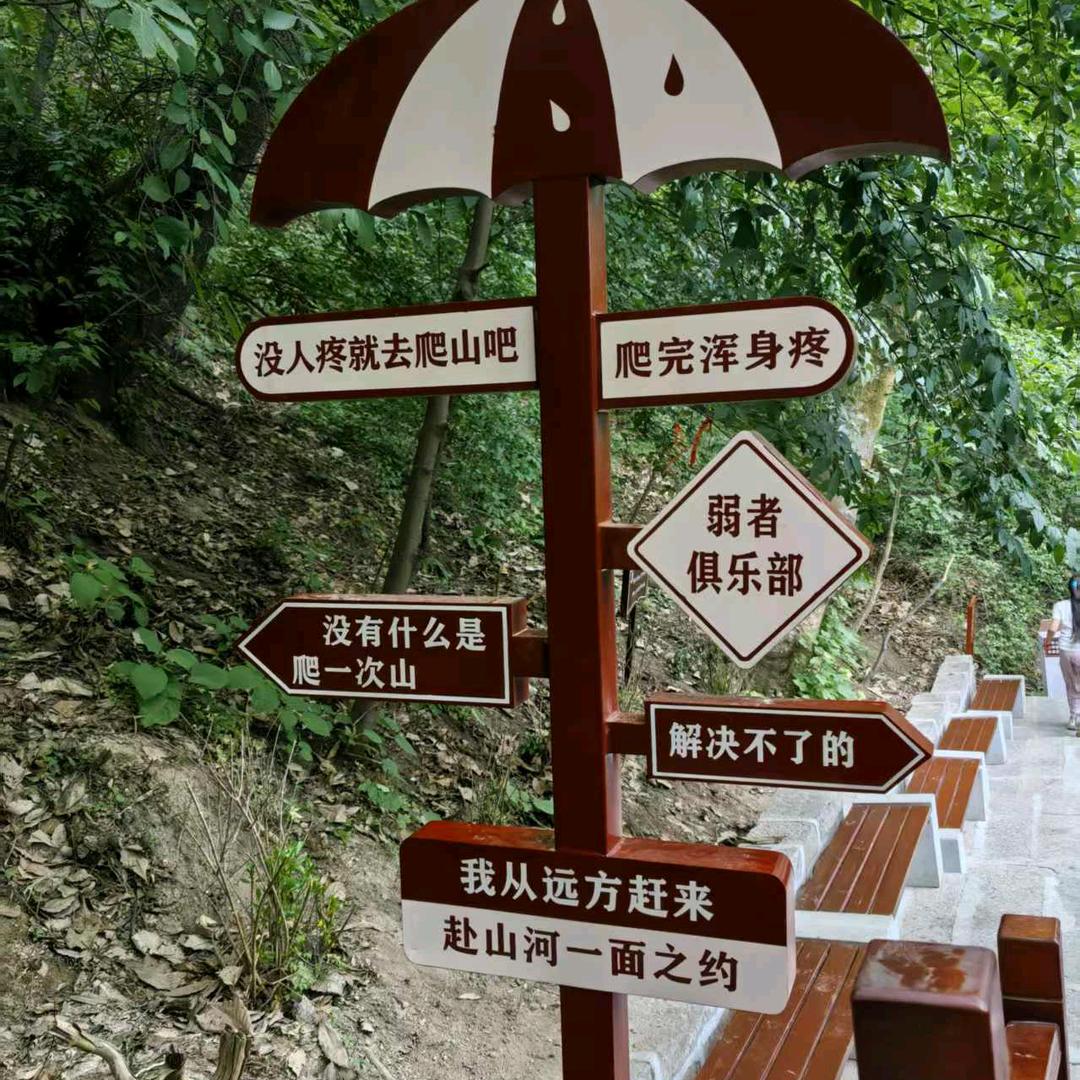 蓝色妖姬💍