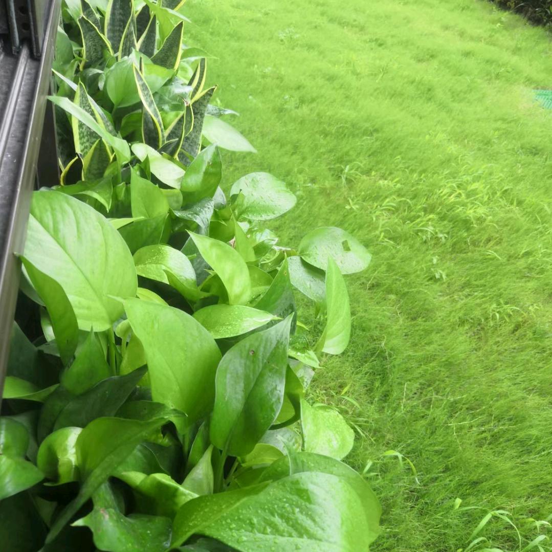 唐忠勤，雷厉风行