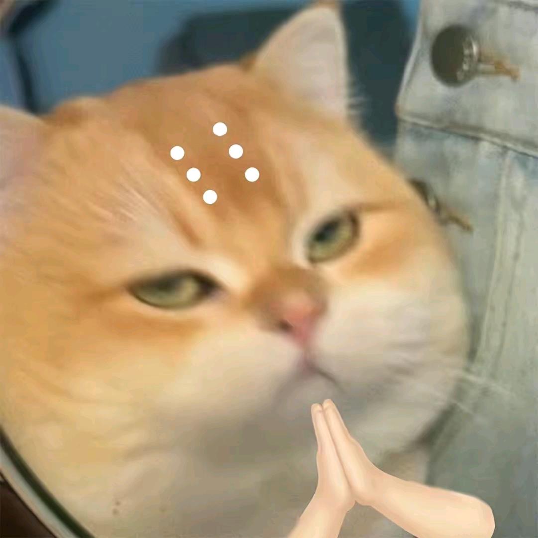 阿刁🤪