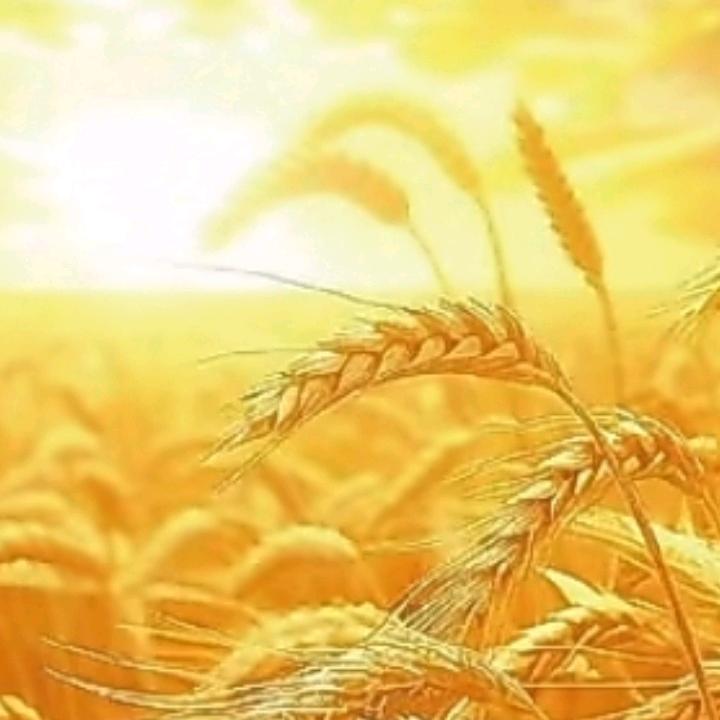 余生谋财
