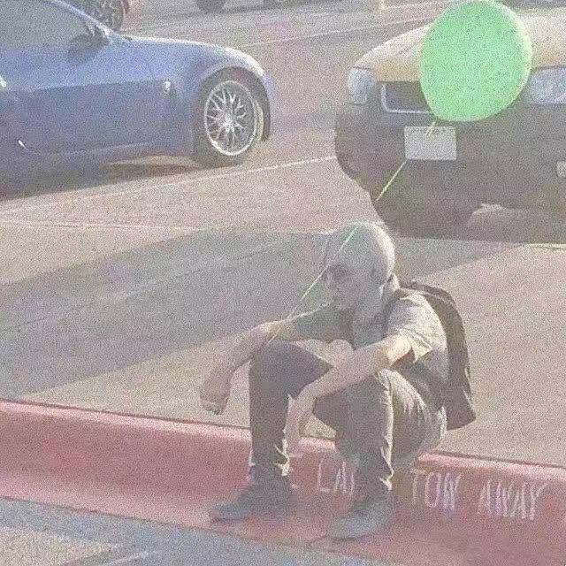 蓝桉.