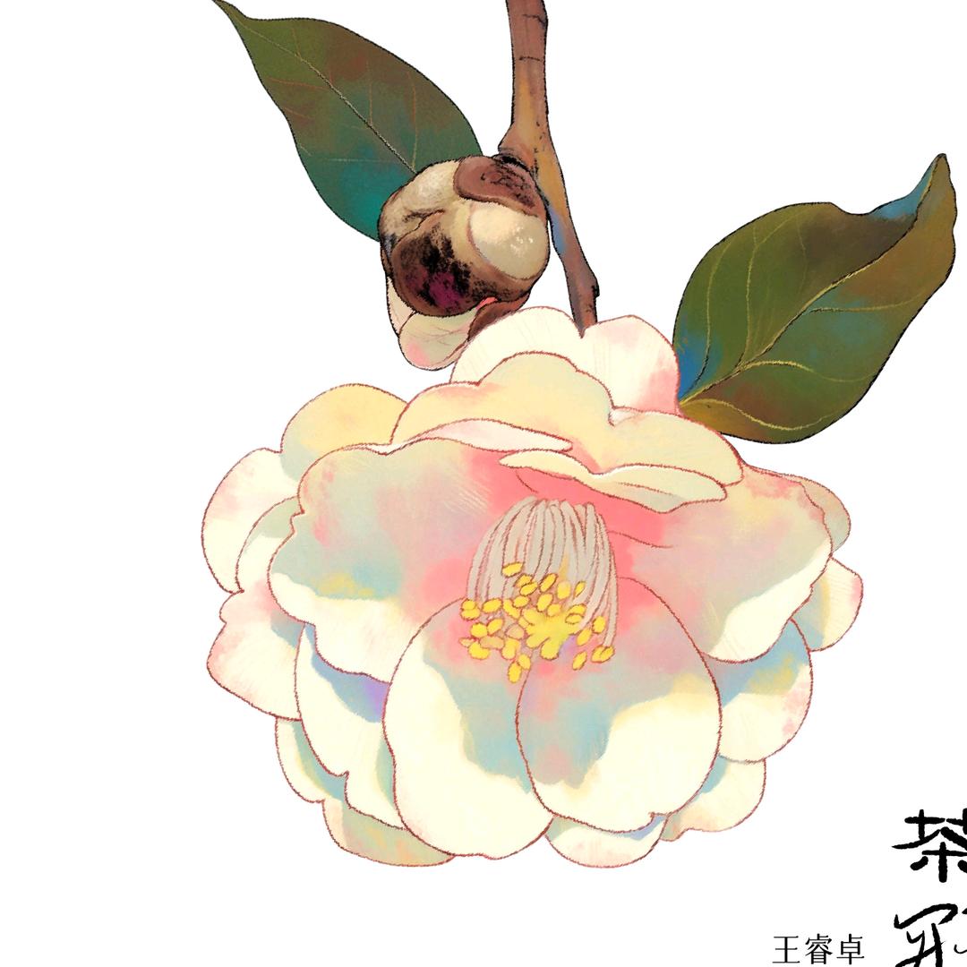 荣辉羊毛制品