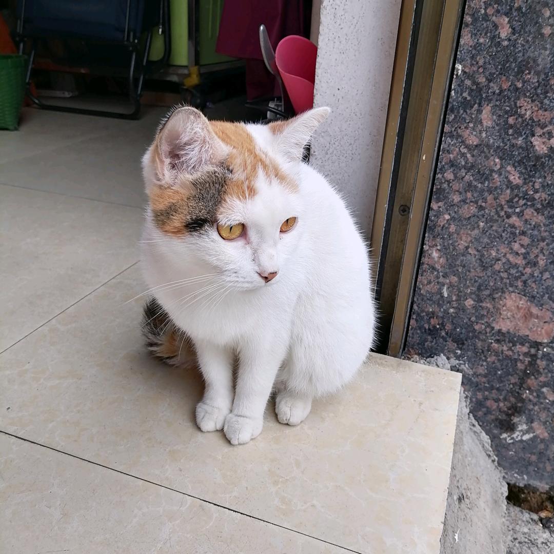 通讯录好友@你哦