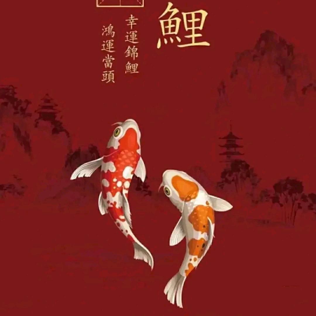 🌈@捕风的男人