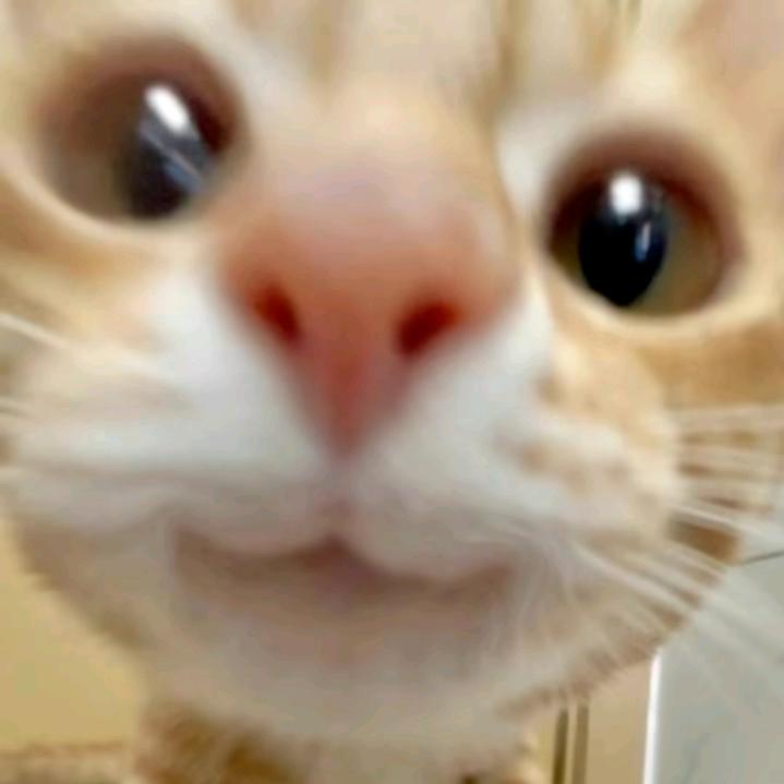 只看天气