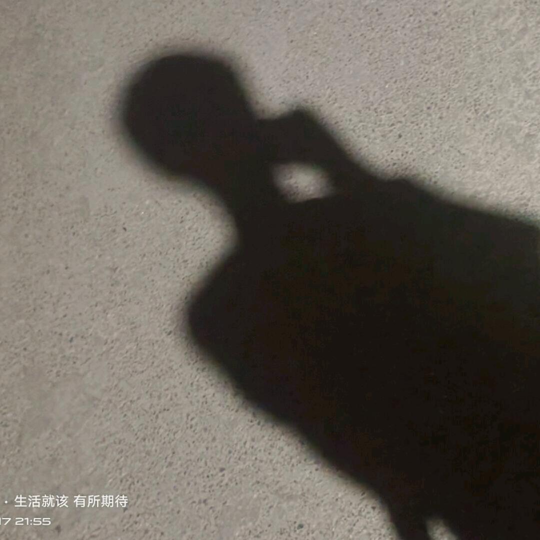 『极道万岁』