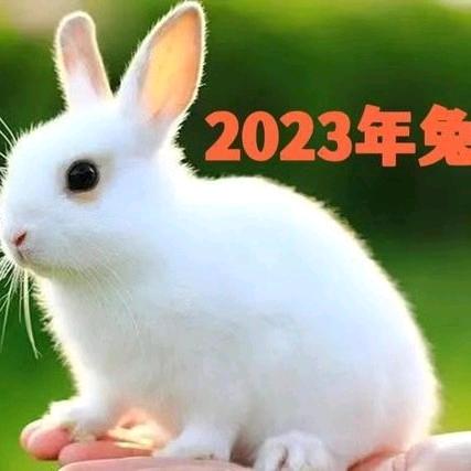 许多福余生有你