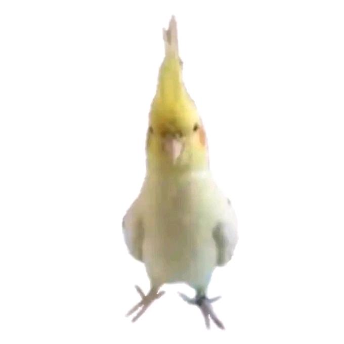 江岳辞