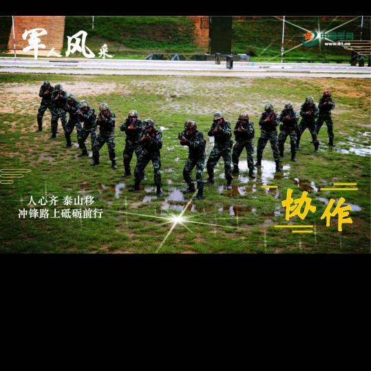 团队拓展（刘教练）