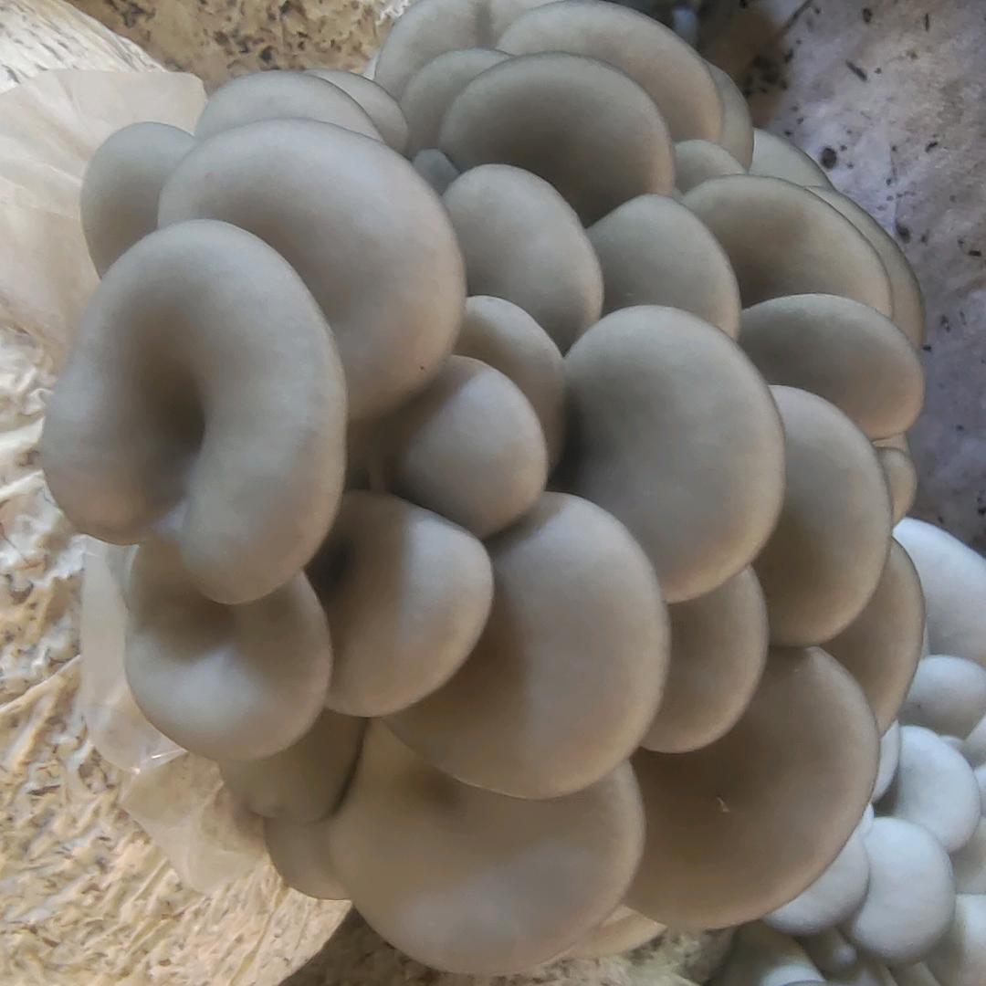 向钱看！向厚赚。