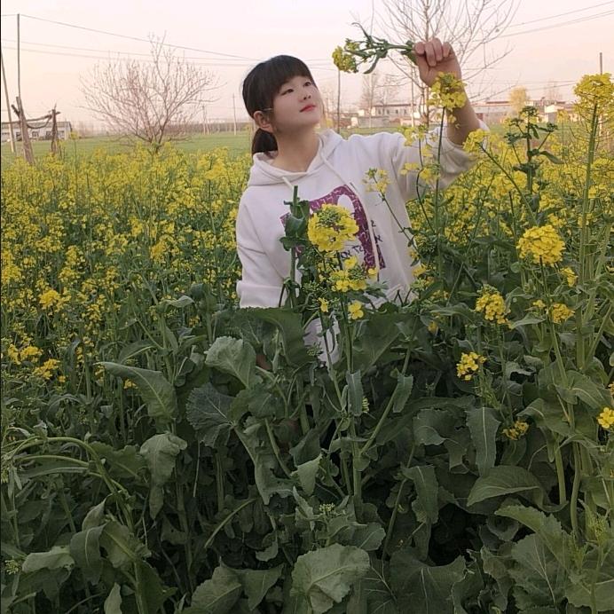 河南大小姐