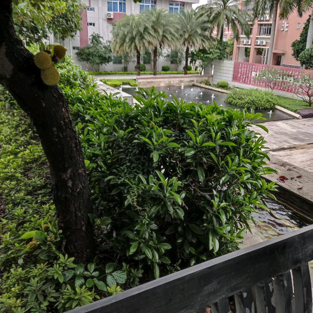 哲乐彤精选