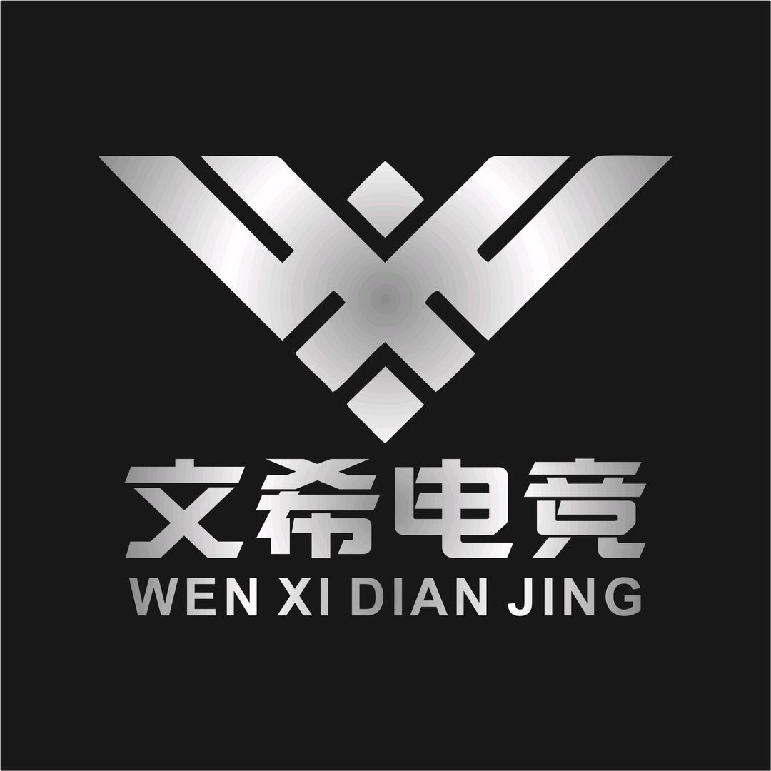 文希电竞（三角洲行动）