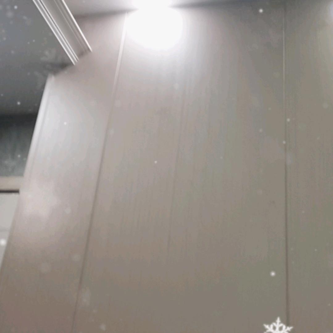 东莞港邵电子九零垂直号