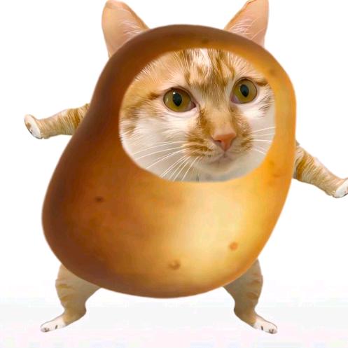 土豆侠