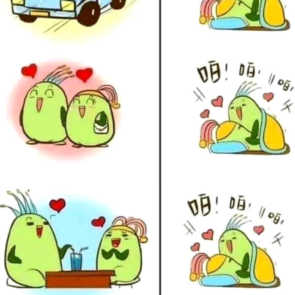 数月