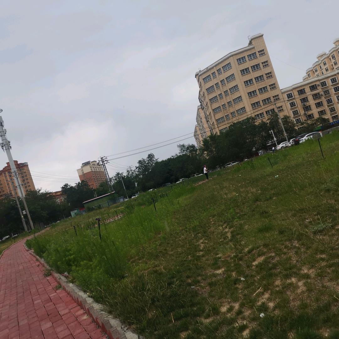 玻璃的心