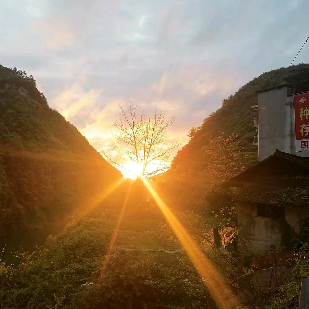 自娱自乐