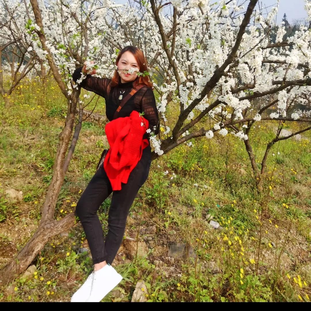 筠连——巡司花店