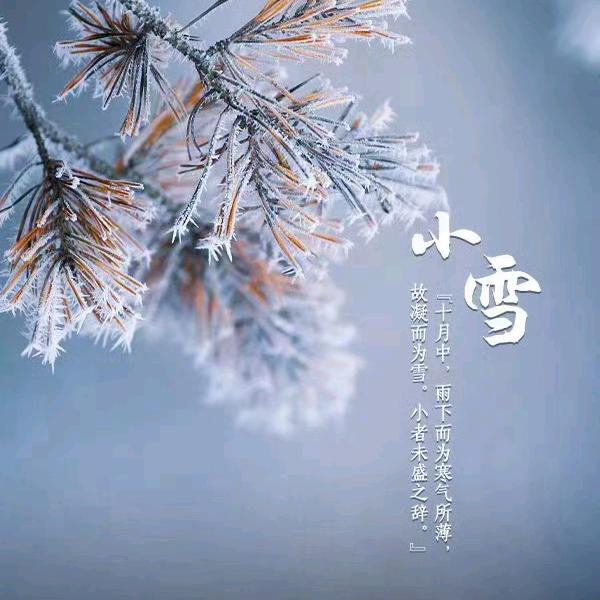 AA慈溪往返云贵川客运