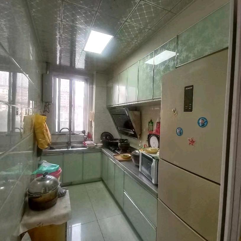 美丽的春天