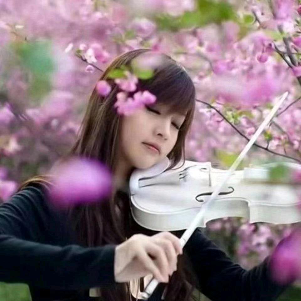 花无声～水无痕