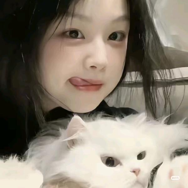姮眉落雪