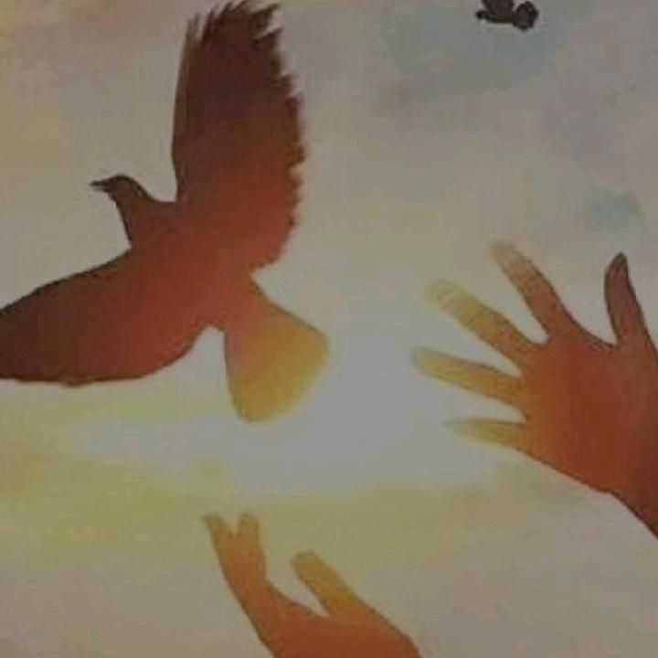 青青