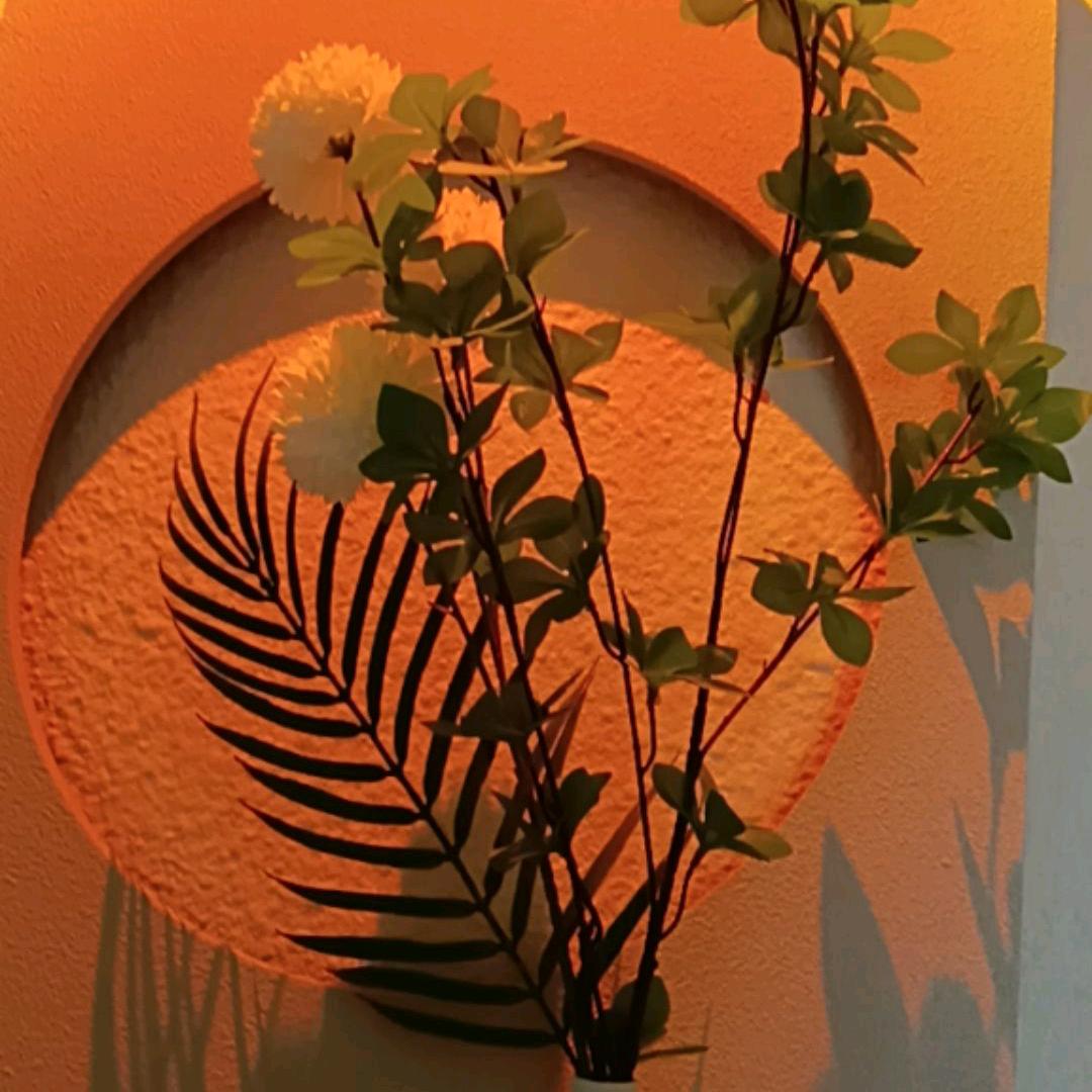 ོ࿐ᩚ:微笑掩盖悲伤ོ࿐ᩚ: