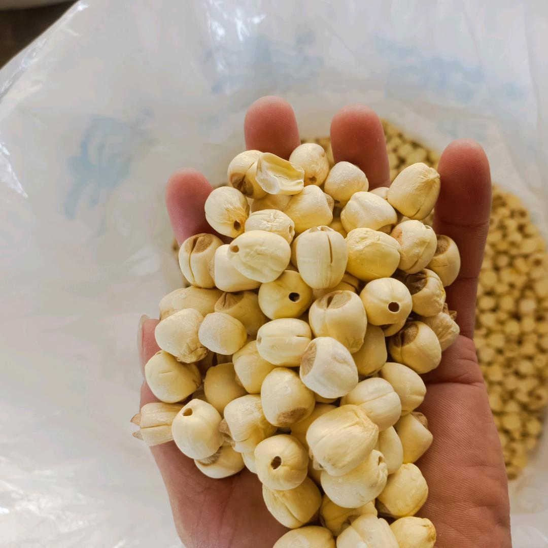 收购 白莲 ，莲心