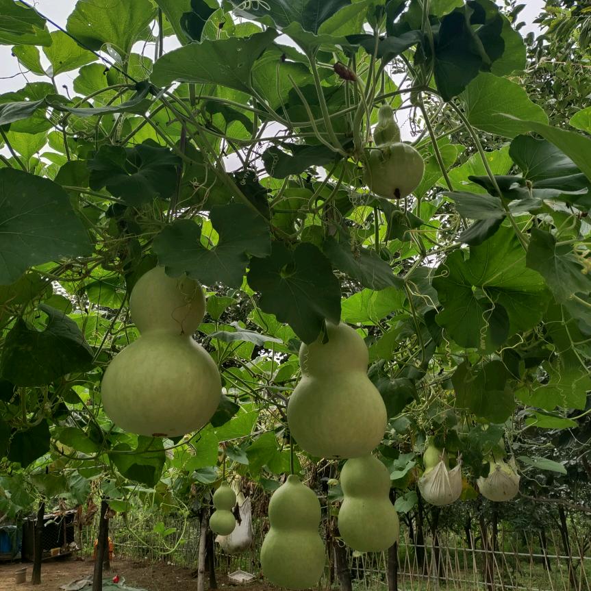 ✨✨拼命挣～未来💥💥