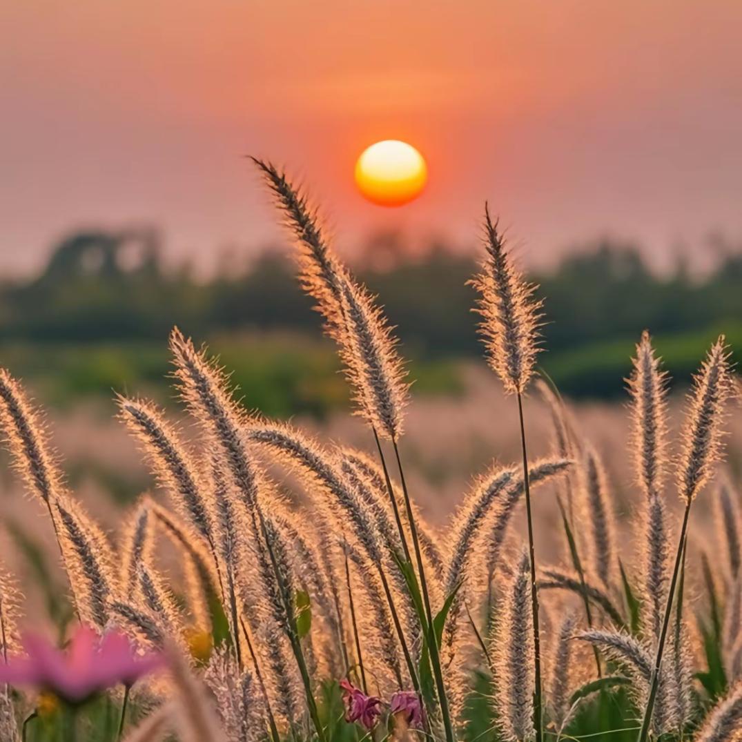 🌈🌈乘风而上🌈