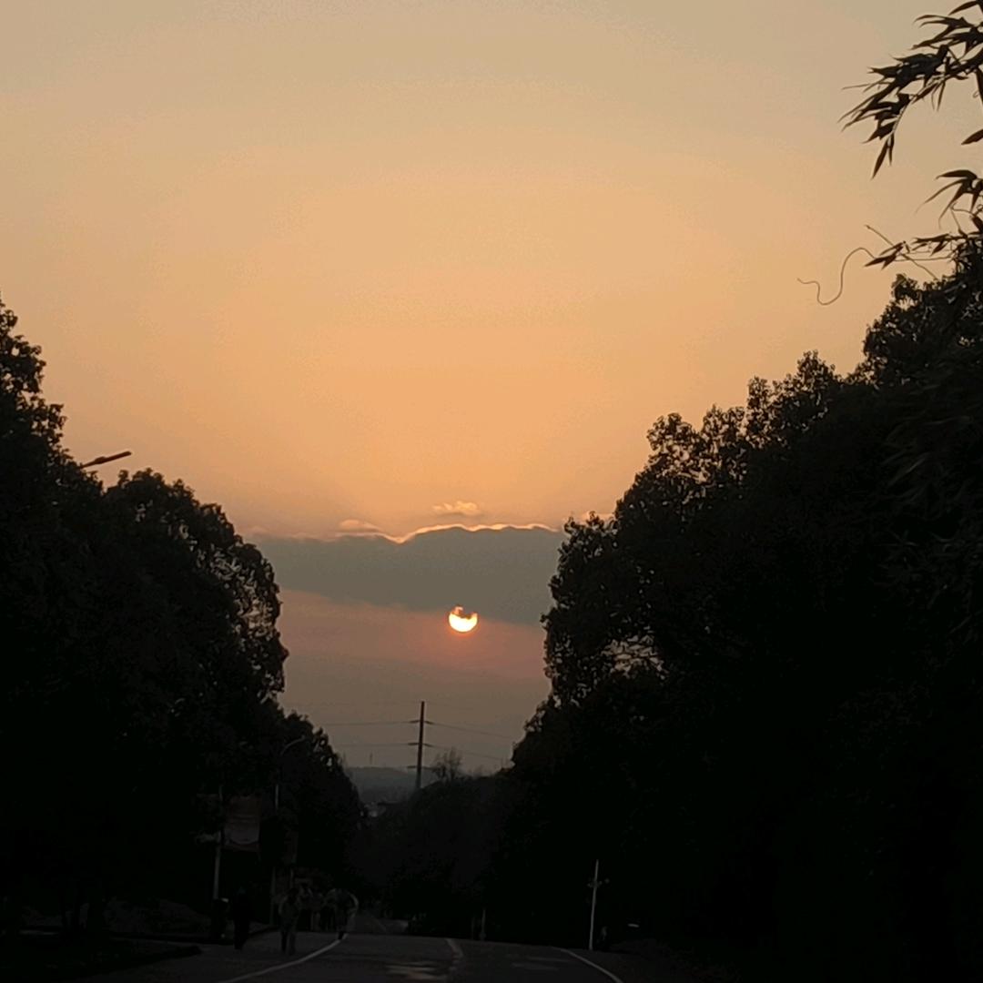 夭夭
