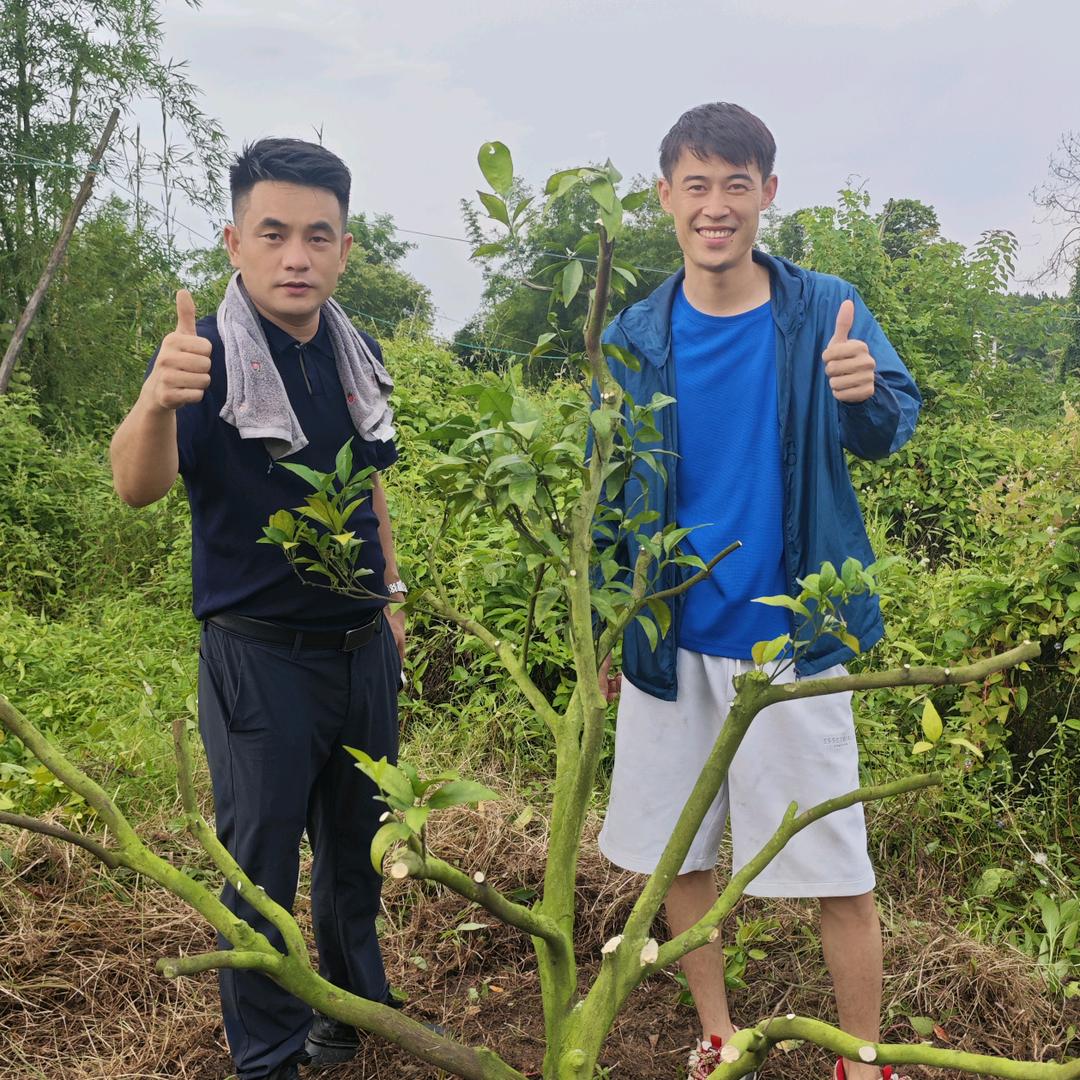 聚诚农业钟贤良