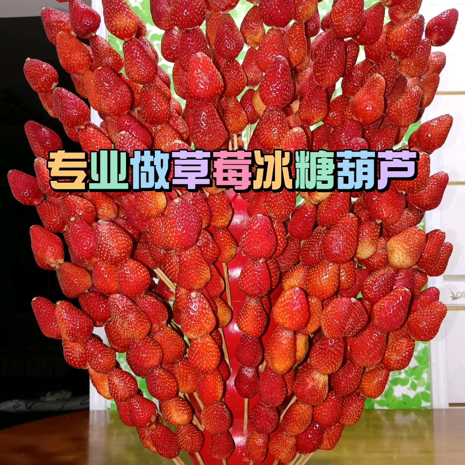 四季草莓糖葫芦