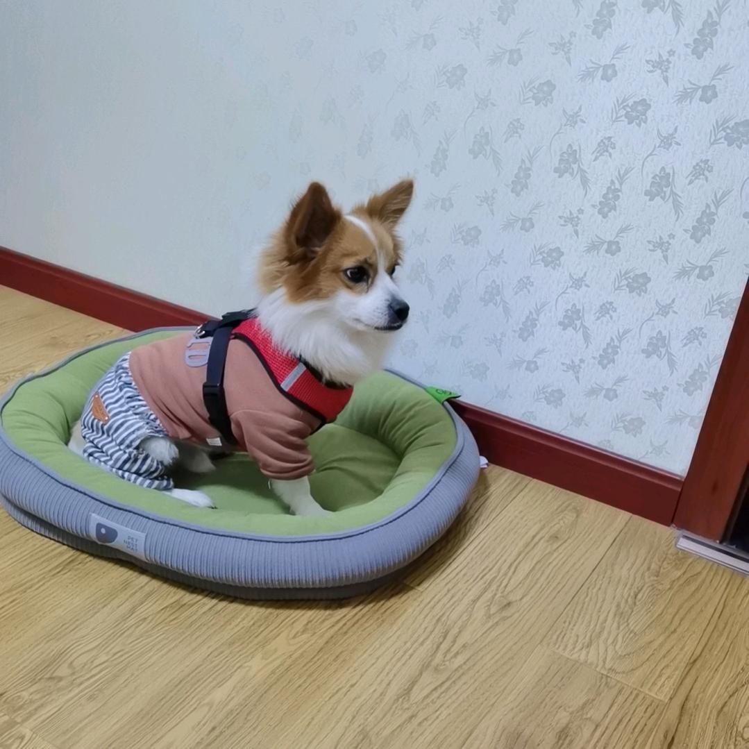 刘三姐