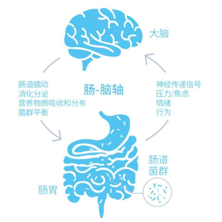 抽动养愈