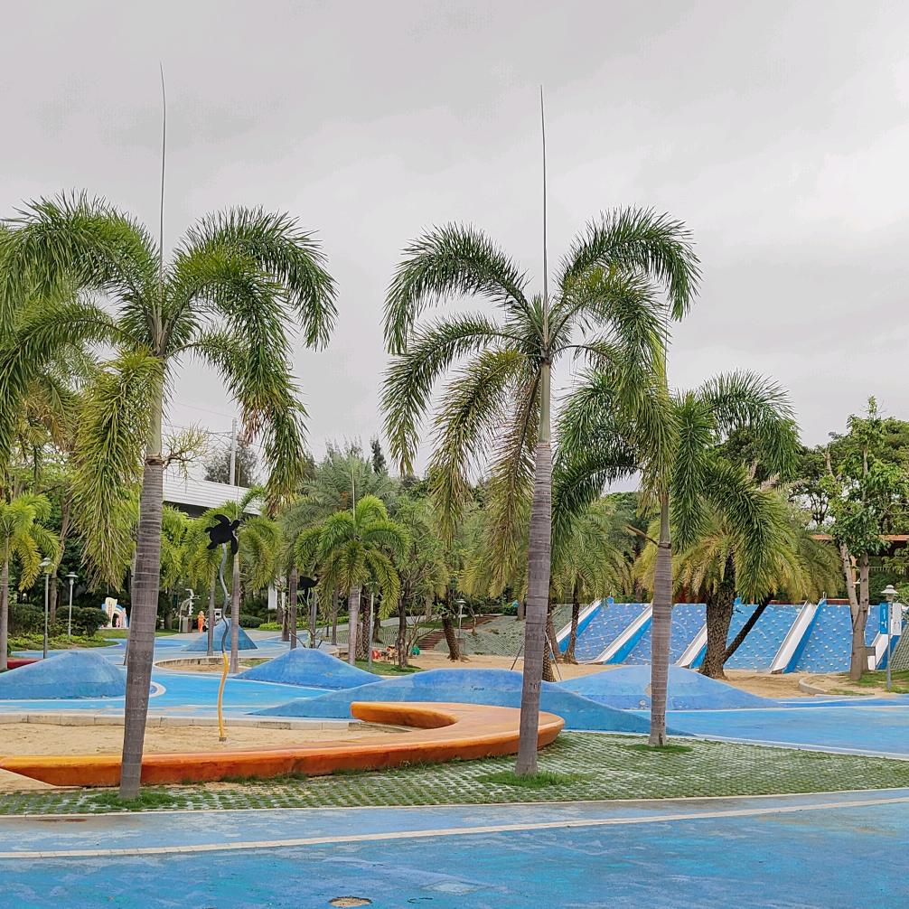 风中百合💝💞💞