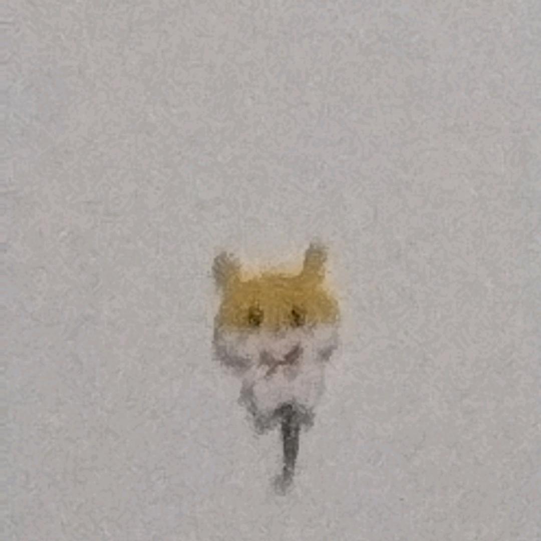 EQ同学