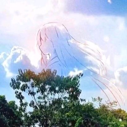 七日蝉