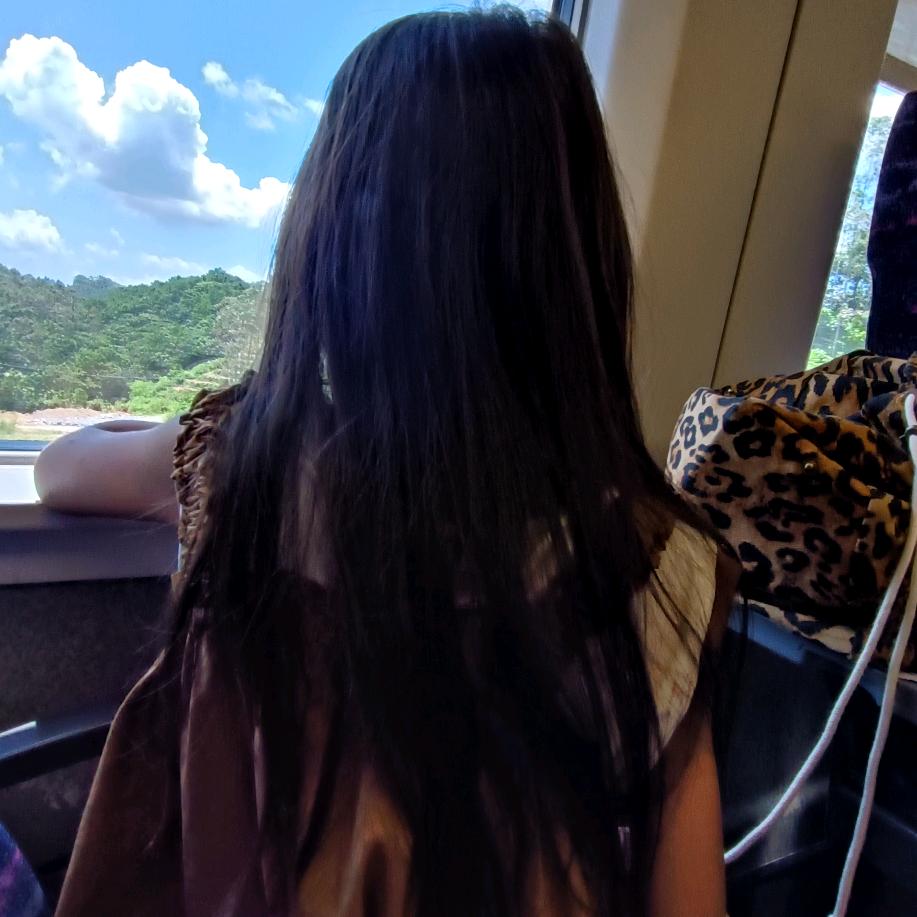 陌上柳絮倾城雪