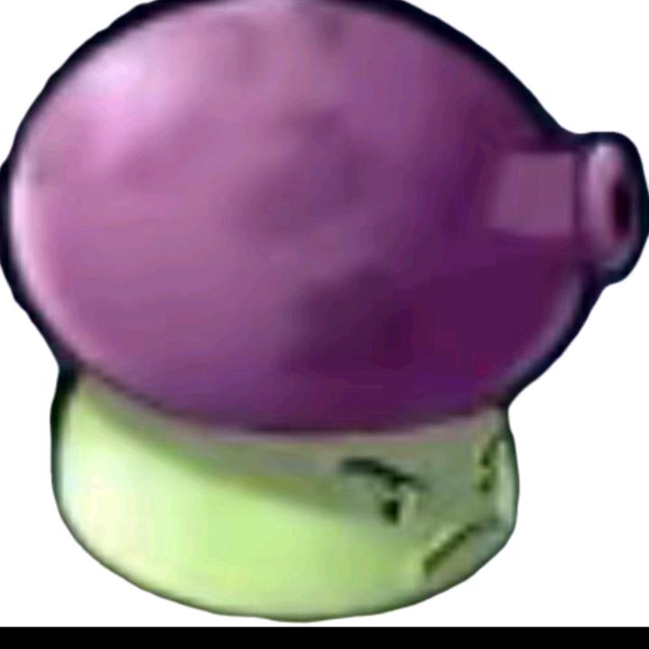 🟣🟣🟣🟣🟣🟣