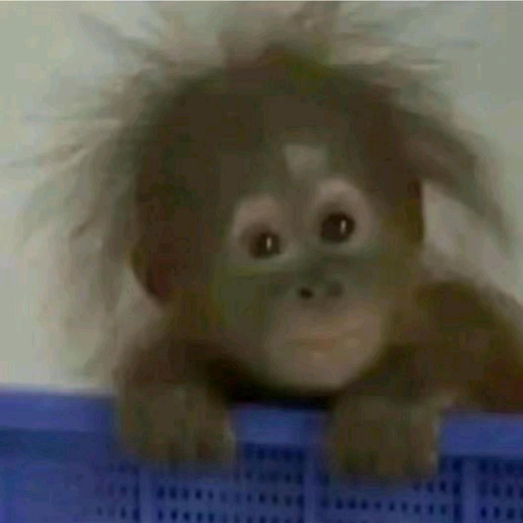 💀芭比Q💀翻盘