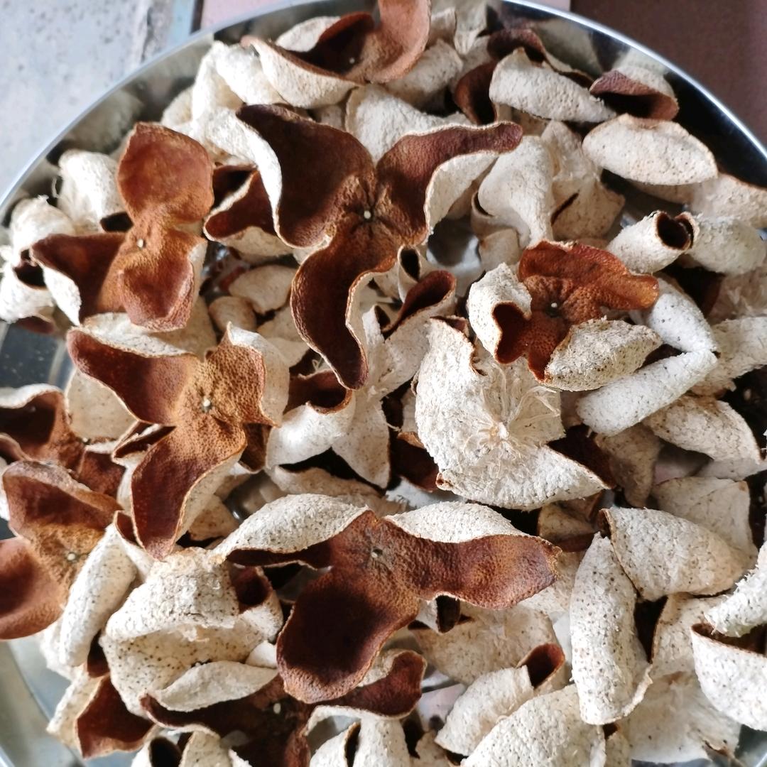 长坑生态园1802296