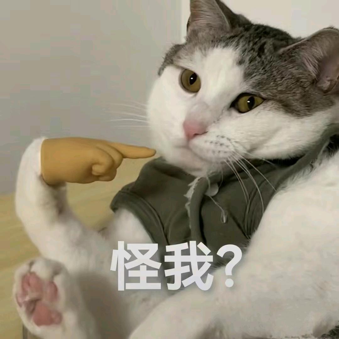 很坏很坏的人