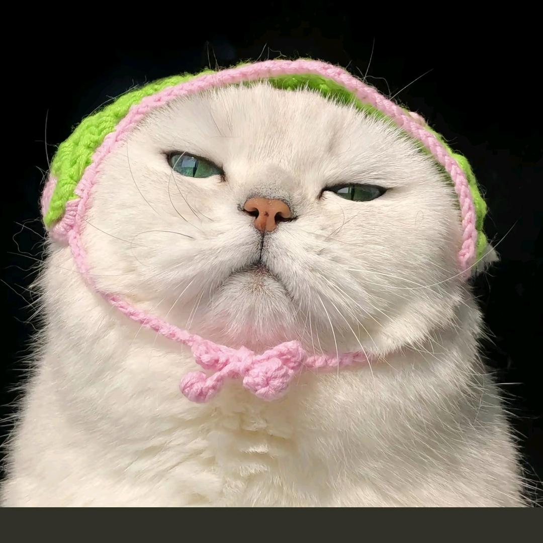 麦匠绿匠匠(˵¯͒〰¯͒˵)