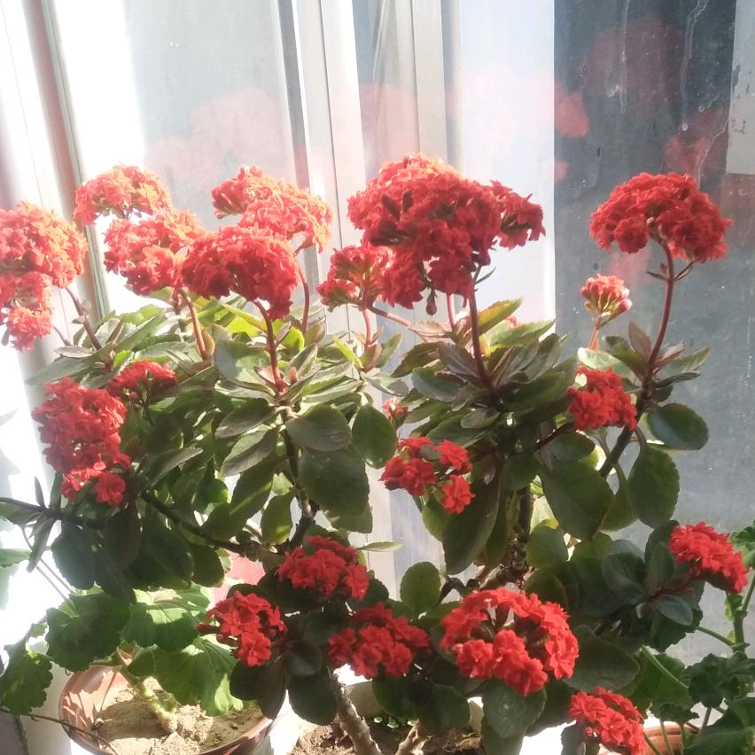 风风光光